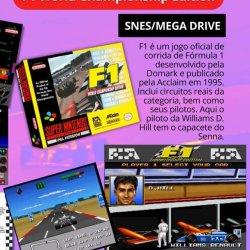 Livro Muito Além dos Videogames Especial nº 3: Ayrton Senna nos Videogames - página 48